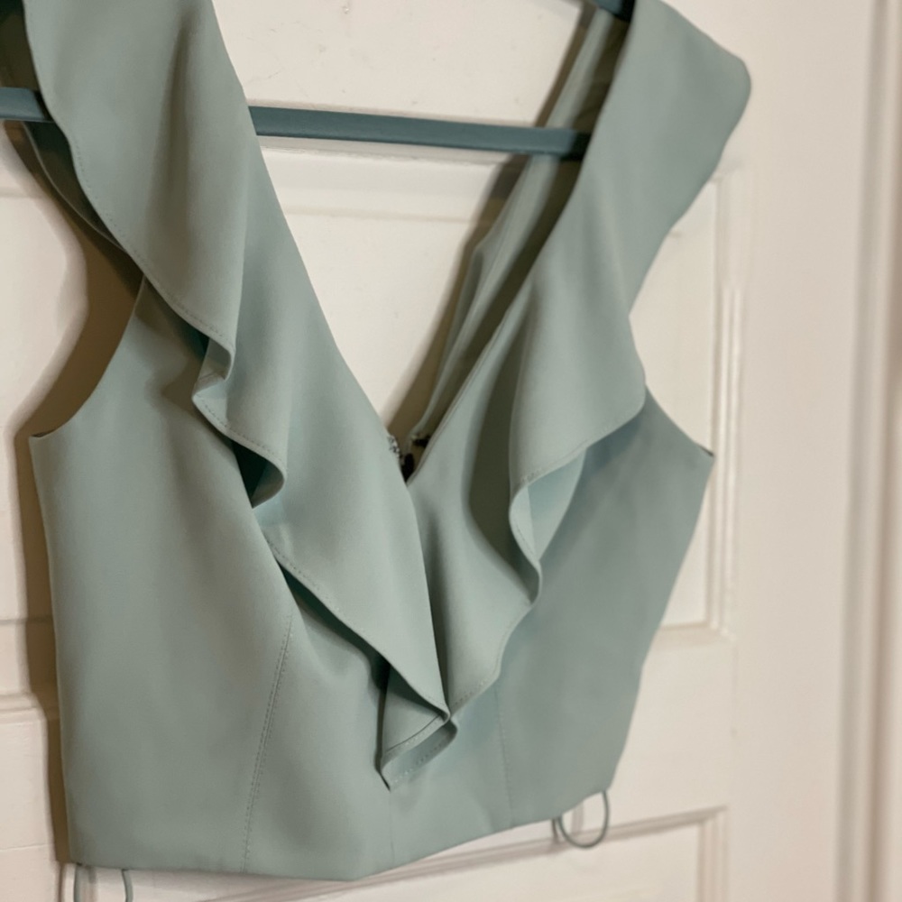 Alice and Olivia crop top size 4. Worn once
